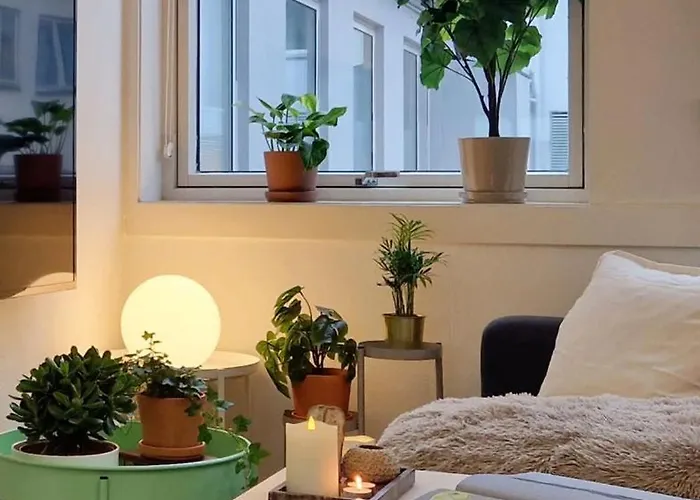 Cozy Near Bryggen Full Kitchen Elevator *