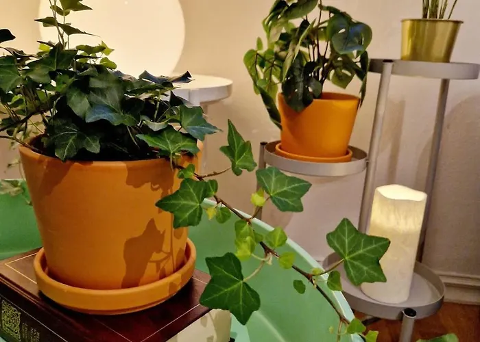 Cozy Near Bryggen Full Kitchen Elevator Μπέργκεν