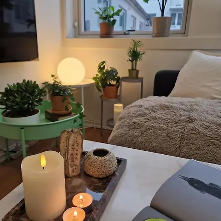 Cozy Near Bryggen Full Kitchen Elevator 度假居 *