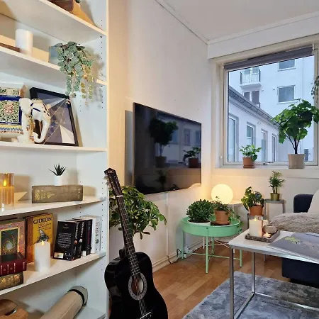Cozy Near Bryggen Full Kitchen Elevator Holiday home