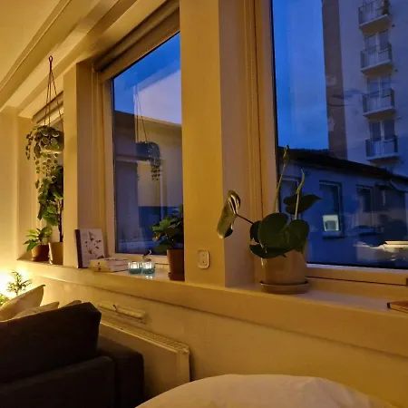 Cozy Near Bryggen Full Kitchen Elevator 度假居 *