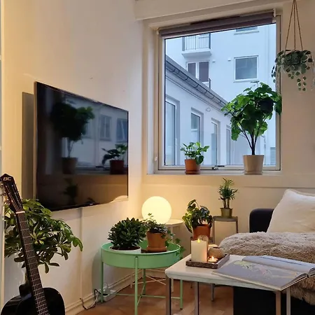 Cozy Near Bryggen Full Kitchen Elevator