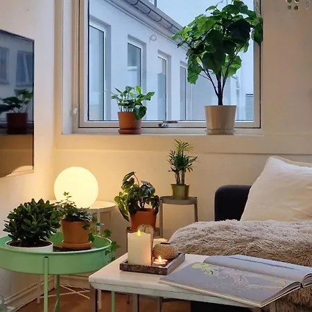 Cozy Near Bryggen Full Kitchen Elevator *