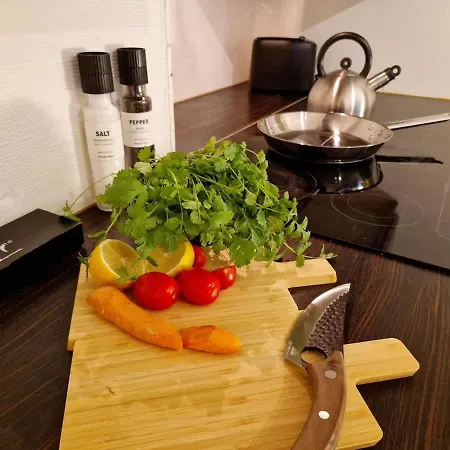 Cozy Near Bryggen Full Kitchen Elevator Holiday home