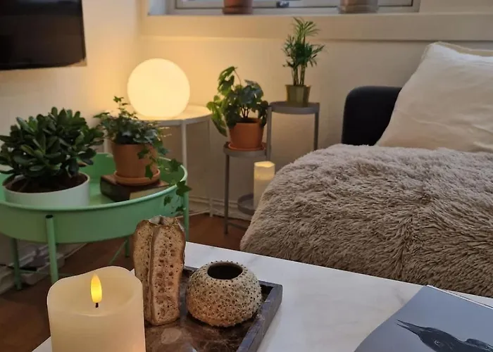 Cozy Near Bryggen Full Kitchen Elevator Feriehus *