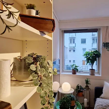 Semesterbostad Cozy Near Bryggen Full Kitchen Elevator