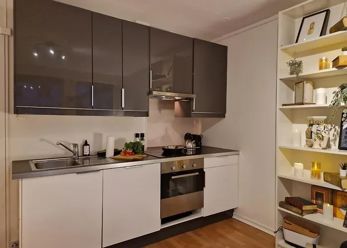 Cozy Near Bryggen Full Kitchen Elevator *